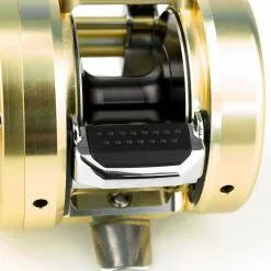 Shimano Calcutta Conquest 201 A -Feederruten Verkäufe CALCUTTA Conquest 18 1250x1250px V5 1280x1280