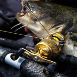 Shimano Calcutta Conquest 201 A -Feederruten Verkäufe CALCUTTA Conquest 18 1250x1250px V6 1280x1280