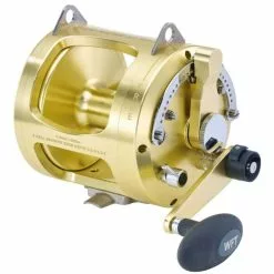 WFT Blue Water 80 W 2-Speed