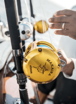 Okuma Makaira MK-50WII 2 Speed Level Drag Reel -Feederruten Verkäufe makaira3 1280x1280